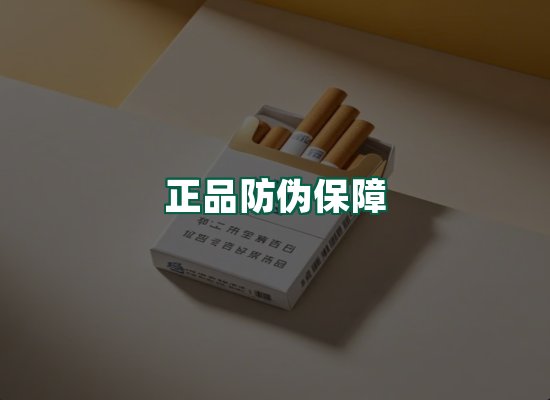 核心优势